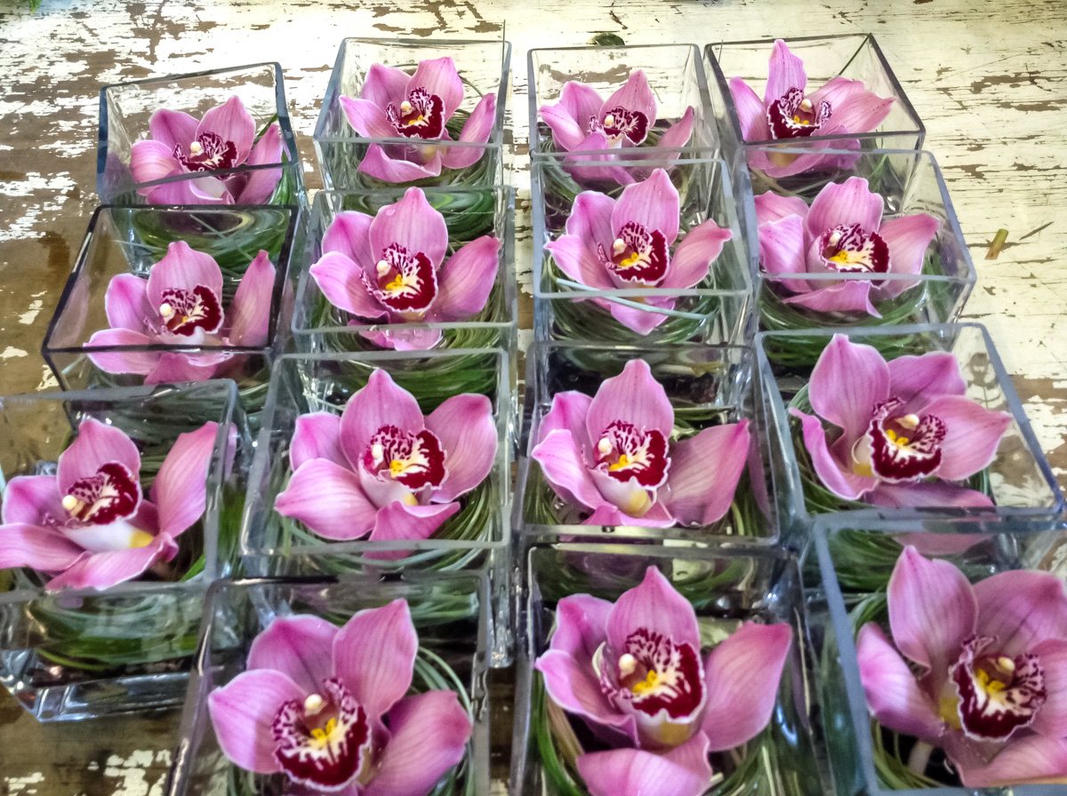 Cymbidium orchid table favors in glass cubes