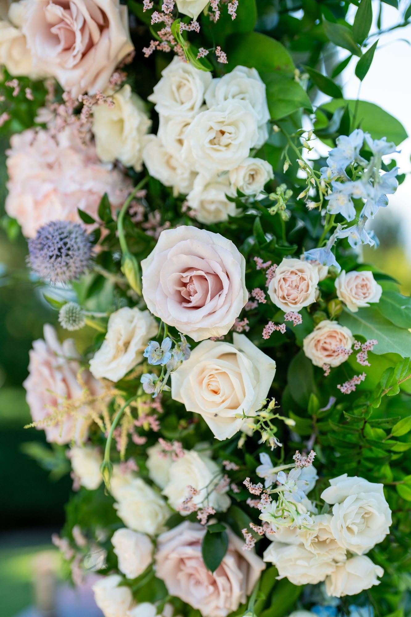 Blush garden-rose bouquet, close detail